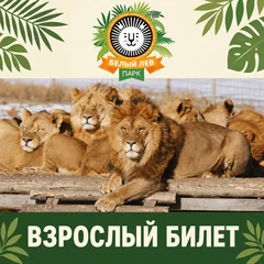 Взрослый билет