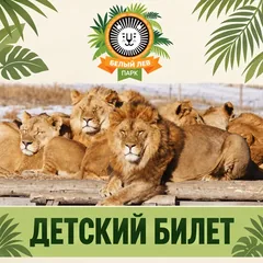 Детский билет