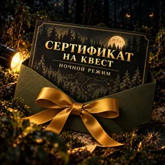 Сертификат на квест «Ночной режим»