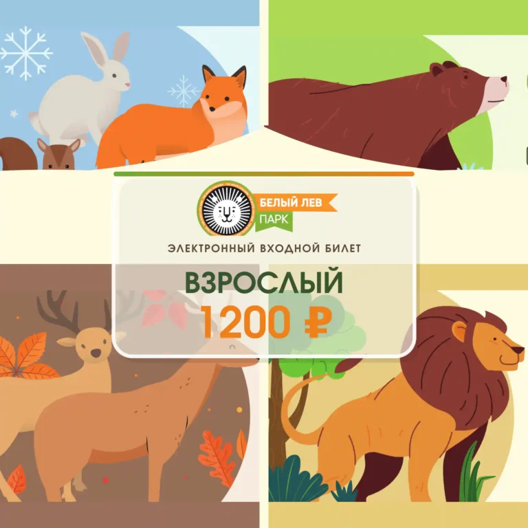 Взрослый билет