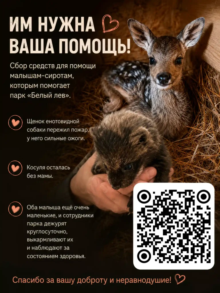 Пожертвования